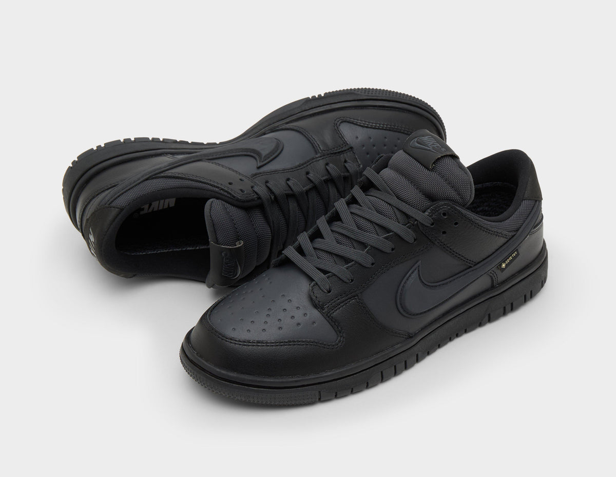 Nike Dunk Low GORE-TEX